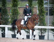 Novella del Castegno Tosc Tour2013- S5 1887 : Arezzo, Cavalli d'Italia, Novella del Castegno, Toscana Tour 2013, foto di Stefano Secchi ©